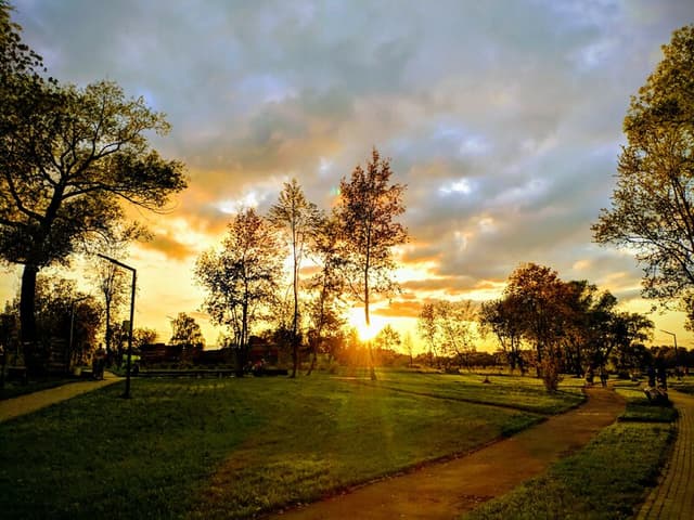 Парк на улице Парковая - фото 4